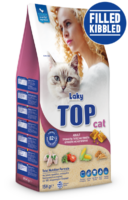 Top Cat