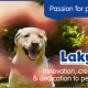 Passion for pets! Innovation, creativity & dedication to pet nutrition.