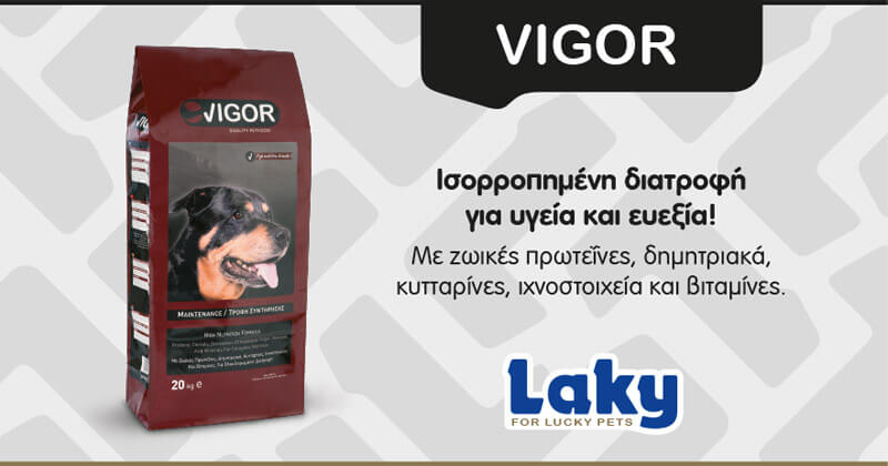 Laky Vigor: Ισορροπημένη διατροφή για υγεία και ευεξία!