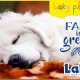 Laky playtime: Fall is great!