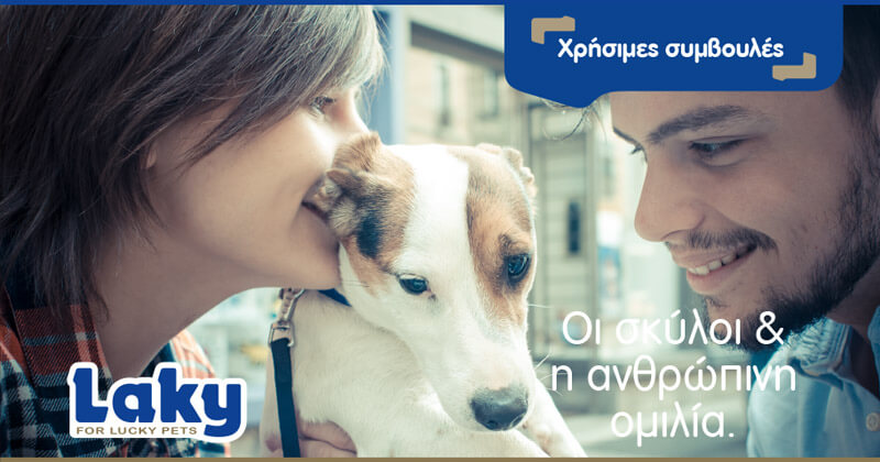 Χρήσιμες συμβουλές Laky: Οι σκύλοι και η ανθρώπινη ομιλία.