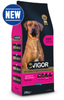 Vigor Dog