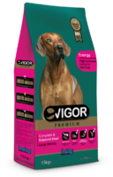 Vigor Energy