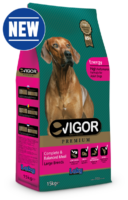 Vigor Energy