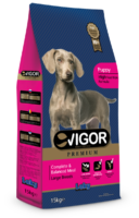 Vigor Puppy